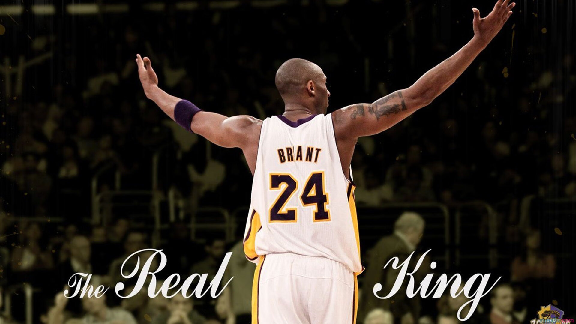 星空在线登录入口-公牛社交媒体连发多条互动帖增加曝光率，公牛宣传图